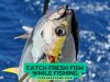 Catch Fresh Fish While Fishing
