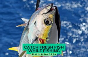 Catch Fresh Fish While Fishing