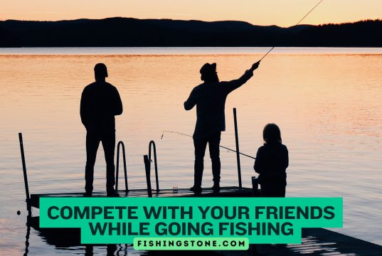 Compete with Your Friends While Going Fishing Compete with Your Friends While Going Fishing