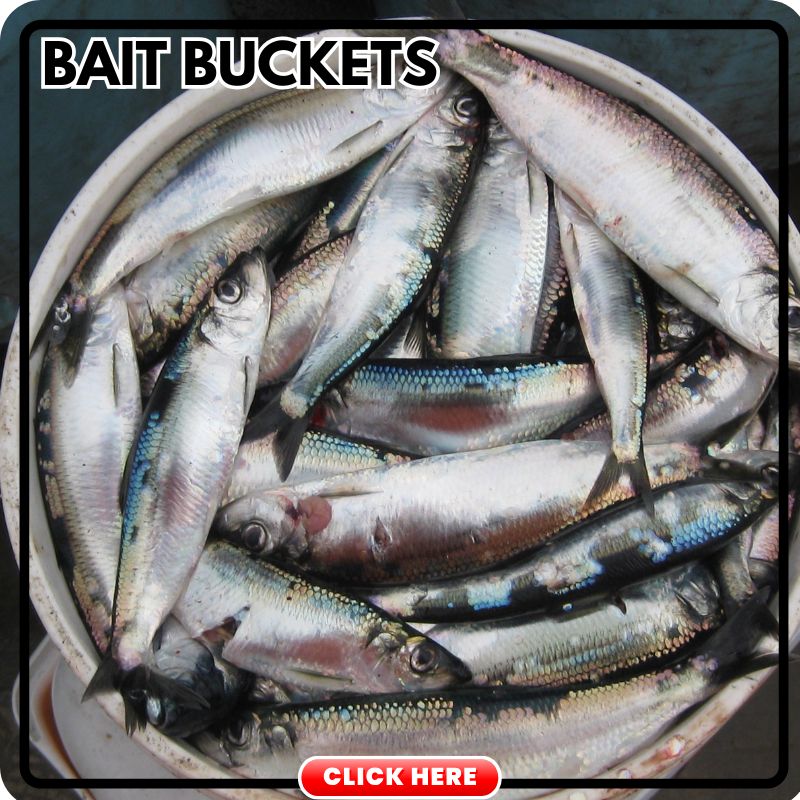 Bait Buckets