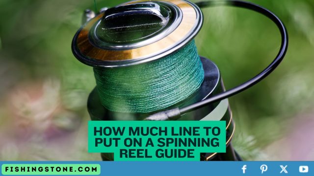 How Much Line to Put on a Spinning Reel Guide How Much Line to Put on a Spinning Reel Guide