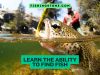 Learn the Ability to Find Fish Ultimate Guide to Successful Angling