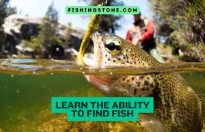 Learn the Ability to Find Fish Ultimate Guide to Successful Angling