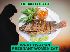 What Fish Can Pregnant Women Eat Navigating Seafood Choices for a Healthy Pregnancy