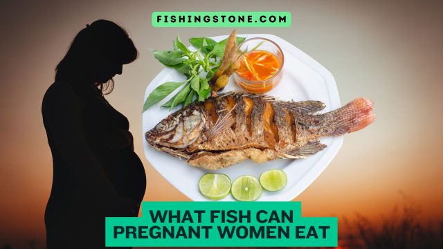 What Fish Can Pregnant Women Eat Navigating Seafood Choices for a Healthy Pregnancy