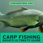 Carp Fishing Basics Your Ultimate Guide