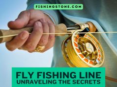 Fly Fishing Line Unraveling the Secrets