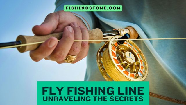 Fly Fishing Line Unraveling the Secrets