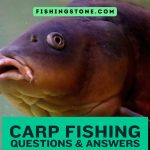 Frequently Asked Questions about Carp Fishing