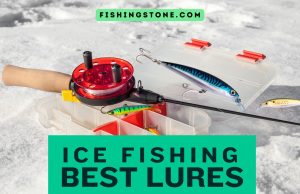 Ice Fishing Lures You Need to Catch Everything Ice Fishing Lures You Need to Catch Everything