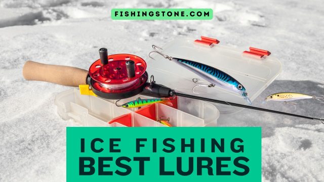 Ice Fishing Lures You Need to Catch Everything
