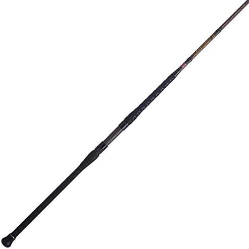PENN Squadron III Surf Spinning Fishing Rod Surf rod premium hardware 2piece graphite construction