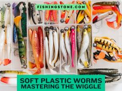 Soft Plastic Worm Rigs Mastering the Wiggle