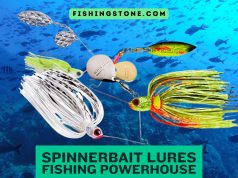 Spinnerbait Lure Remains The Fishing Powerhouse