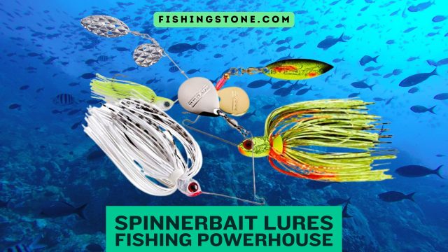 Spinnerbait Lure Remains The Fishing Powerhouse